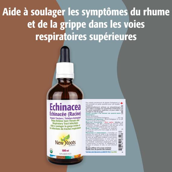 Echinacea